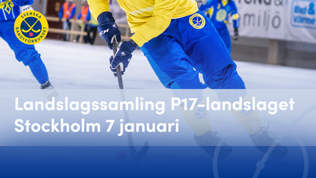 Landslag VM