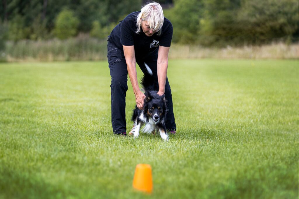 Hundträning