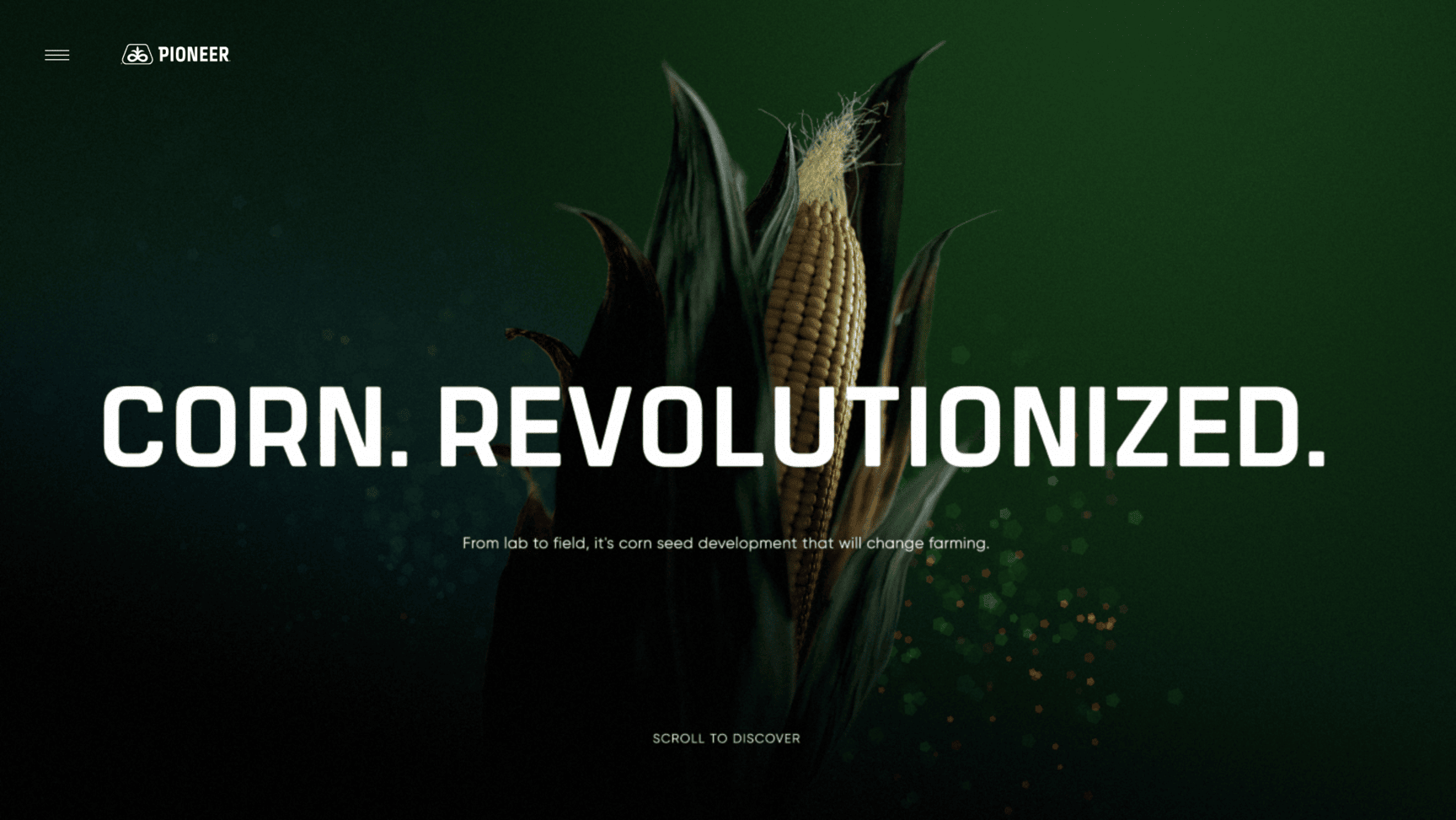 website